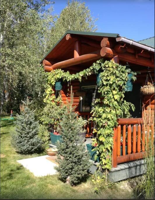 Lazy Fox Cabin West Yellowstone Luaran gambar